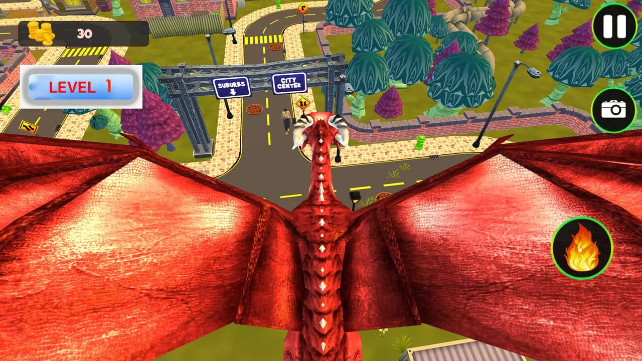 Fly Fly Dragon!