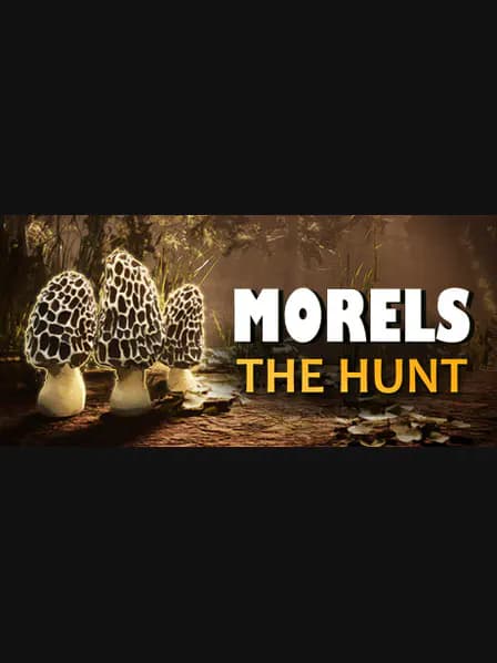 Morels: The Hunt