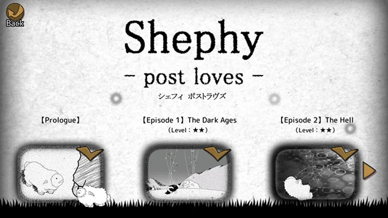 Shephy
