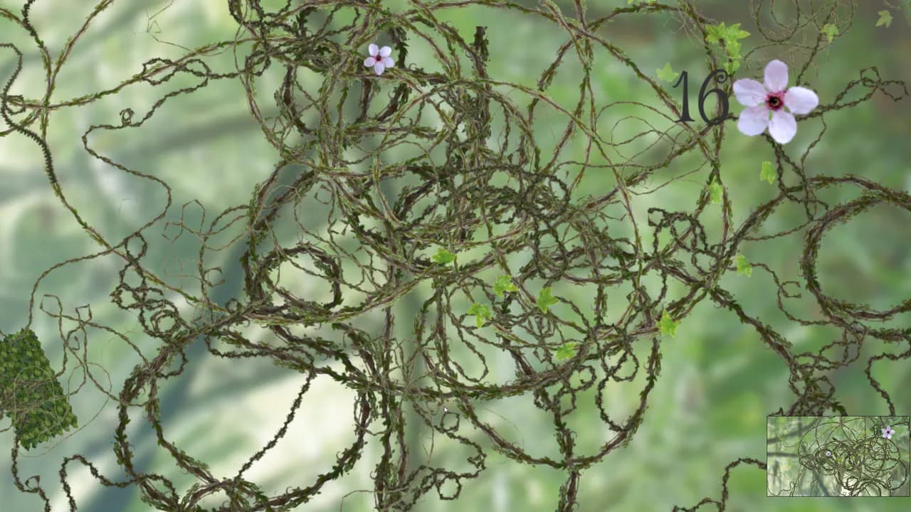 Vine (itch)
