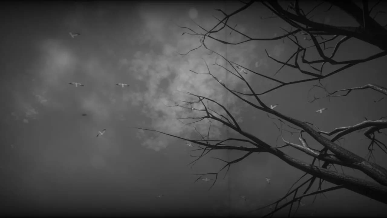 Before Dawn