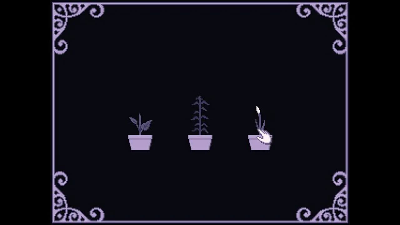 Lavender (itch)