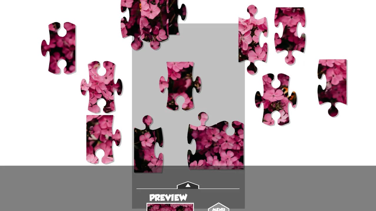 Puzzlection