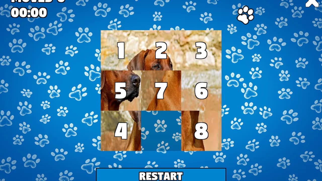 CatDog Puzzle