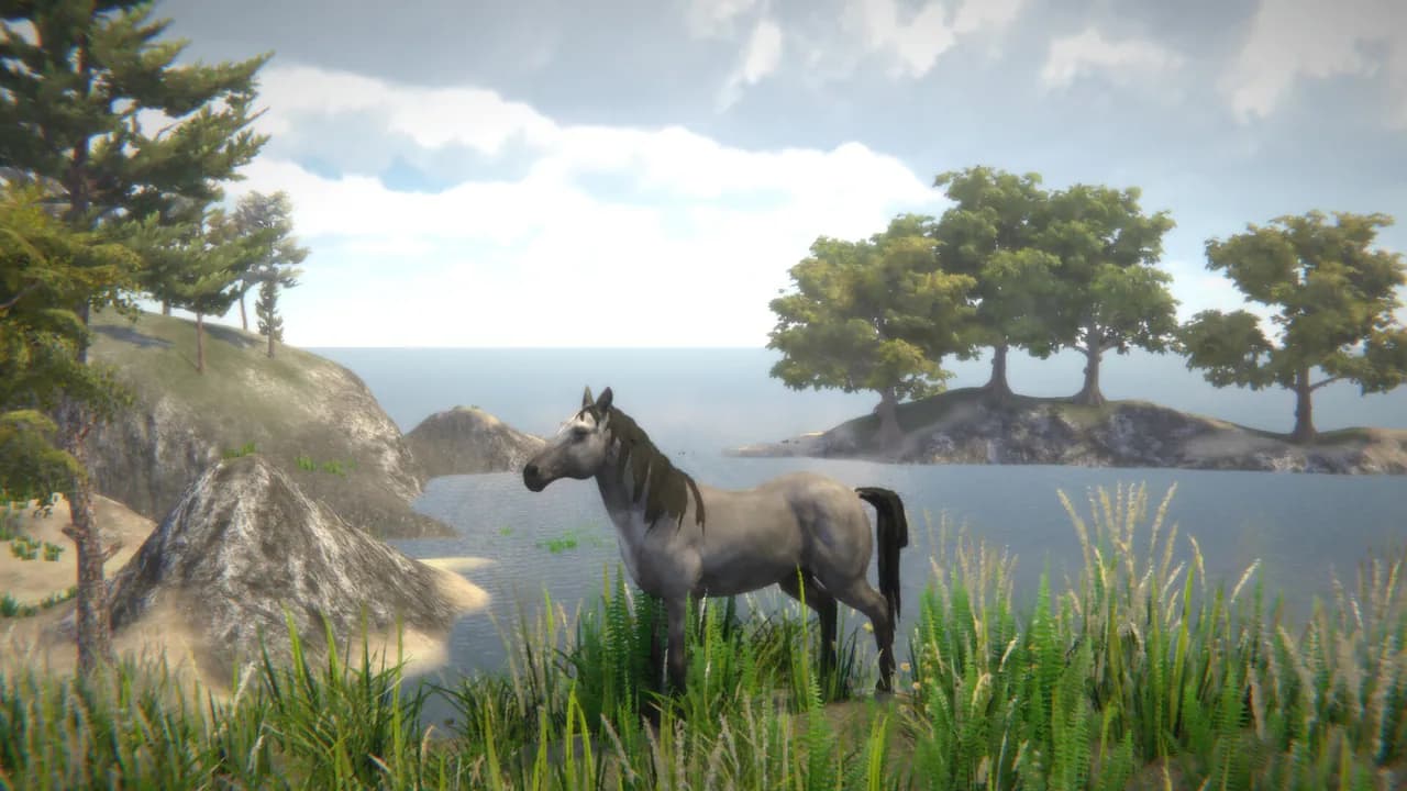 Horse and Go Seek