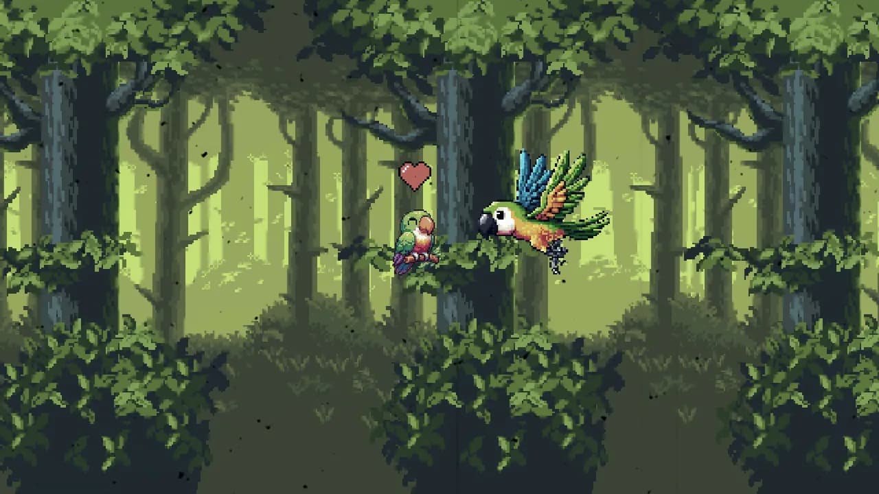 Birds Adventure