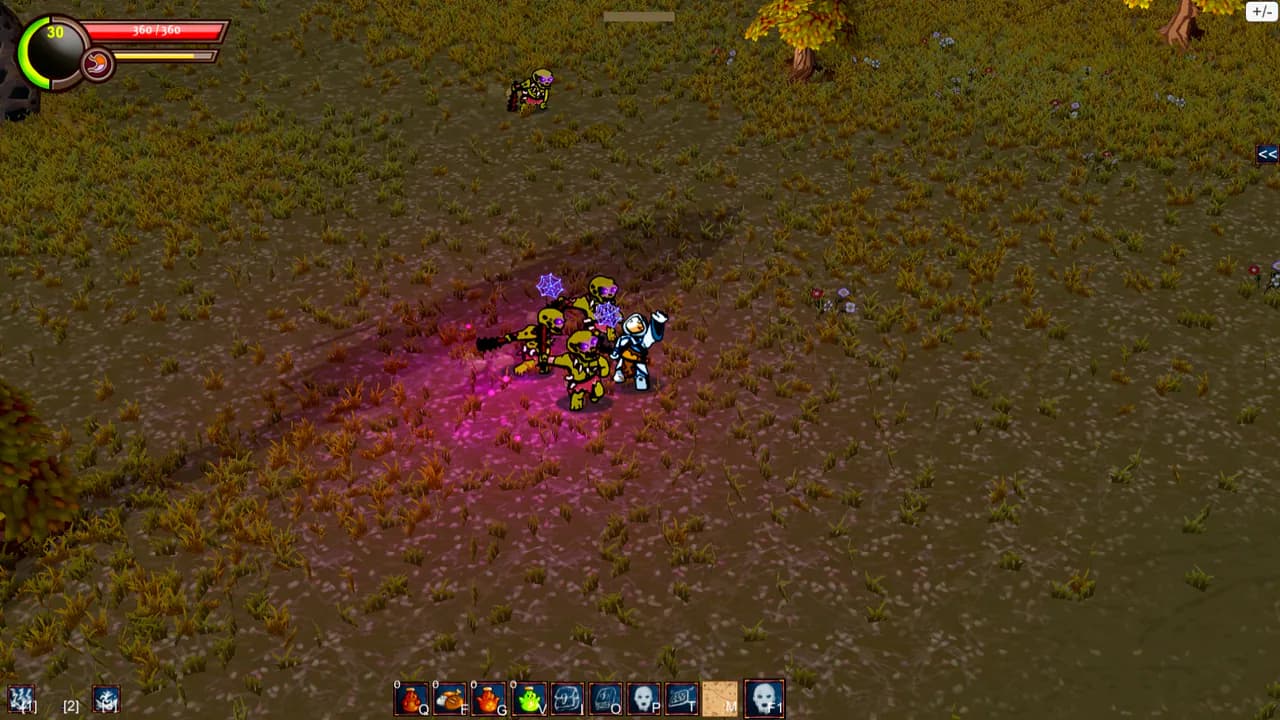 Warriors Wrath