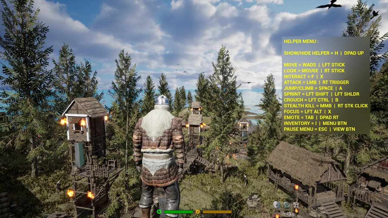 Multiplayer Vikings
