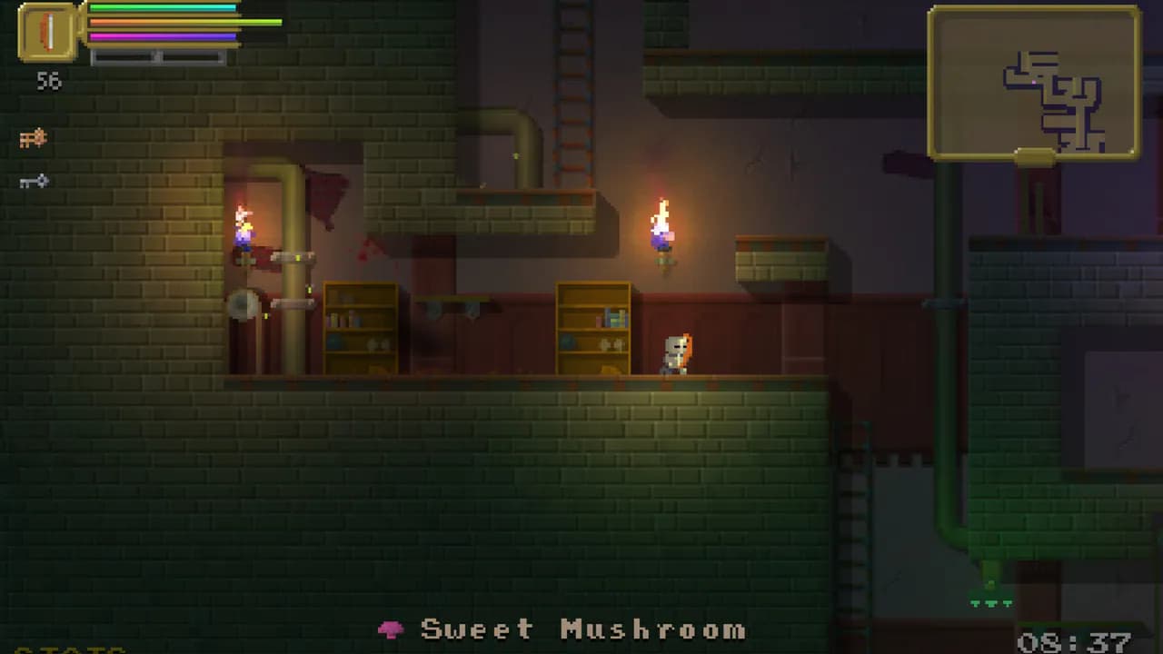 The Dungeoning