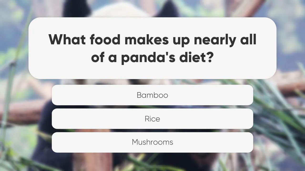Amazing Trivia
