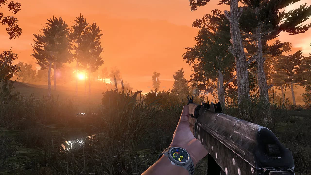 Sunrise: survival
