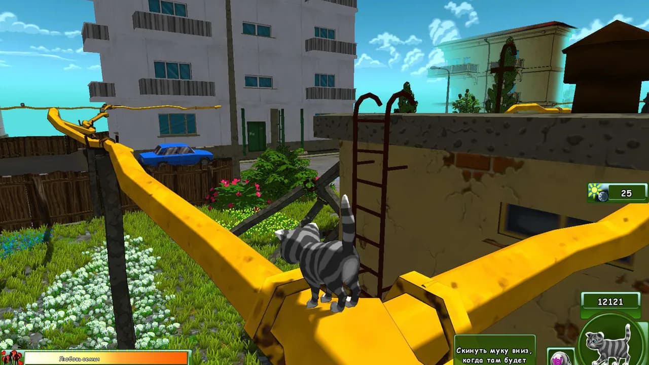 Kitty Play