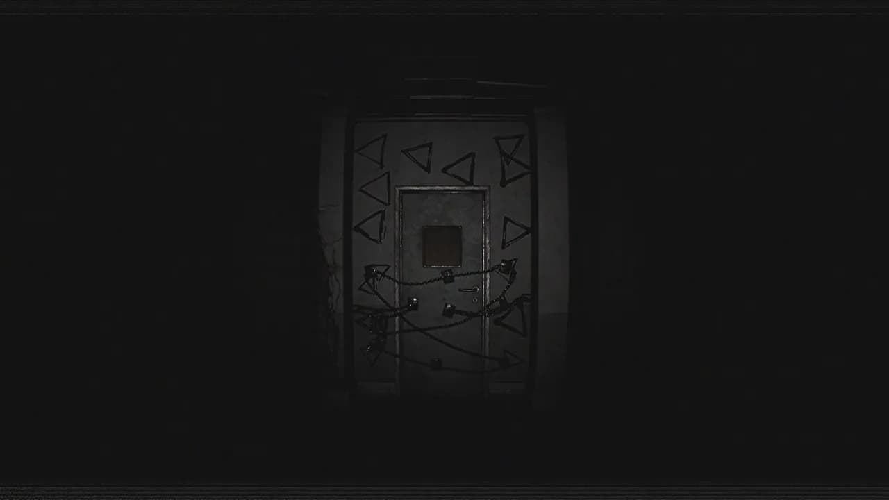 Paranormal VHS