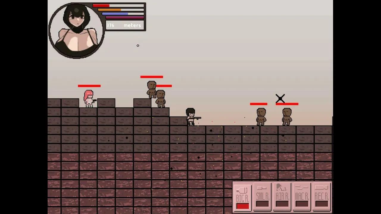 Bankrupt Heroines