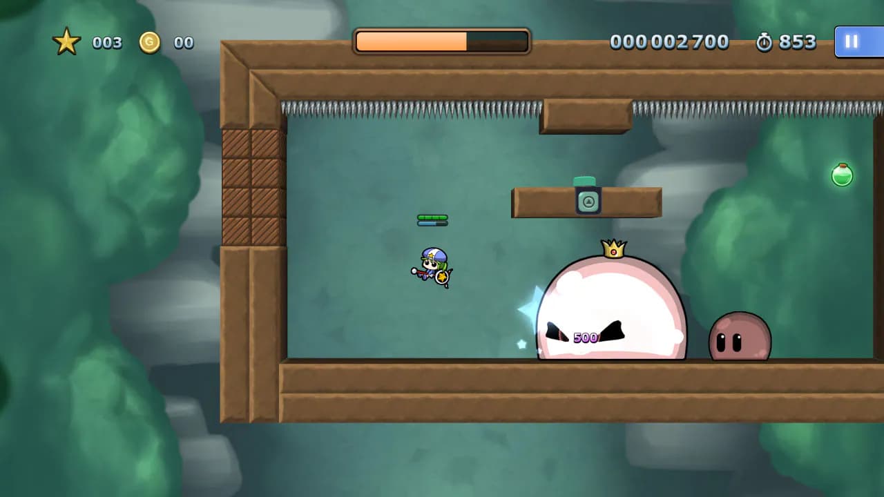 Miracle Fly