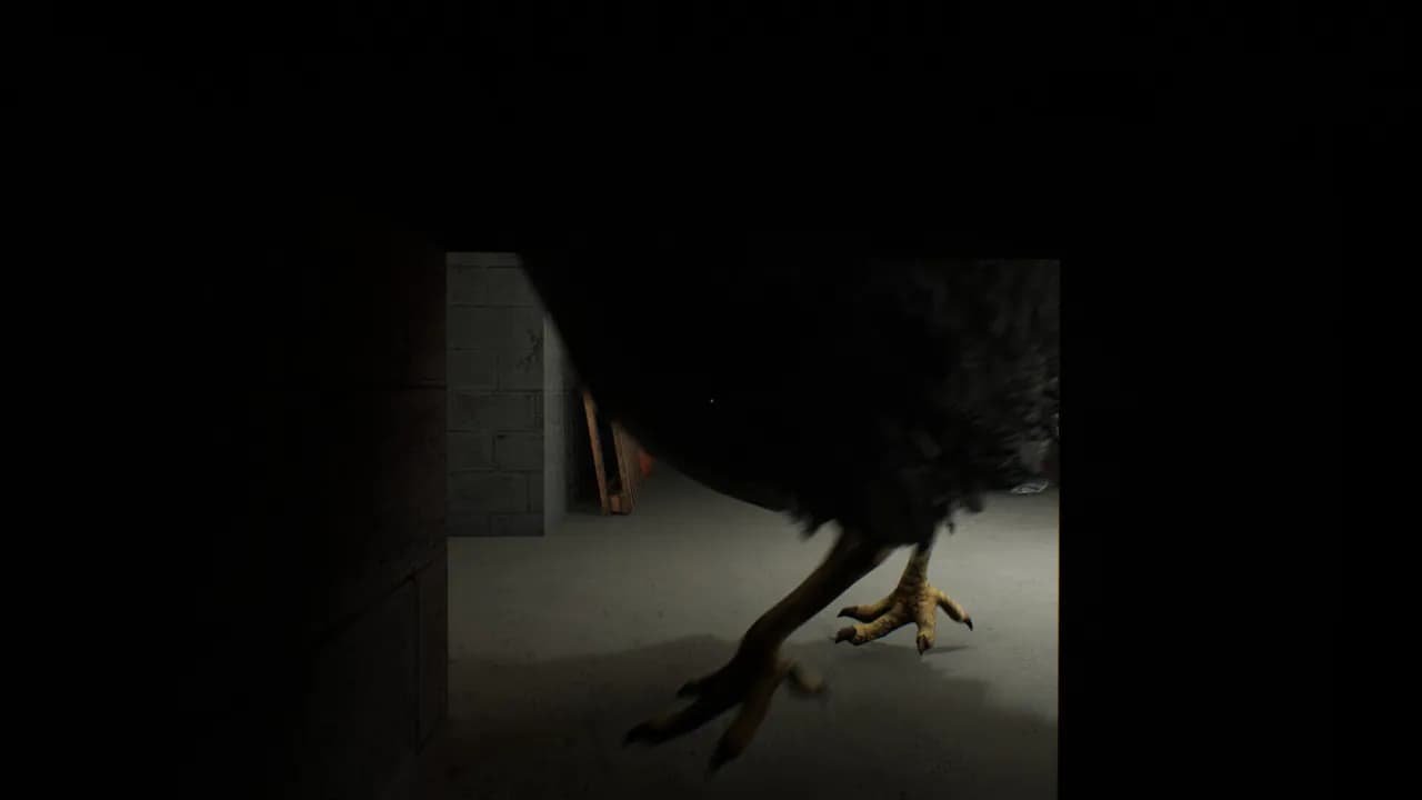 Chicken Feet