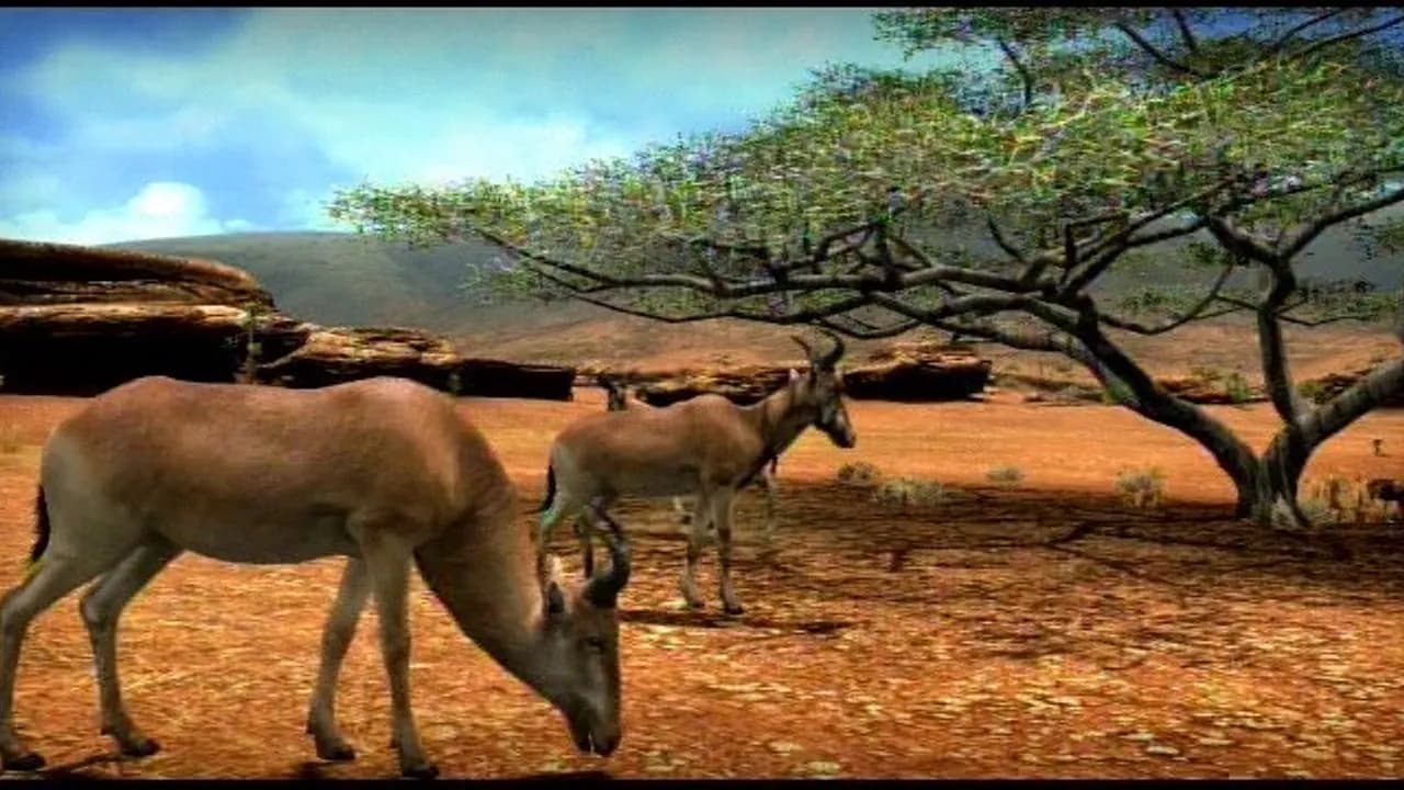 Afrika