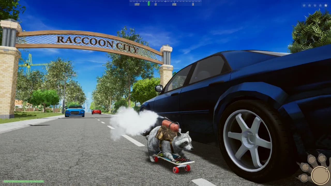 Wanted Raccoon