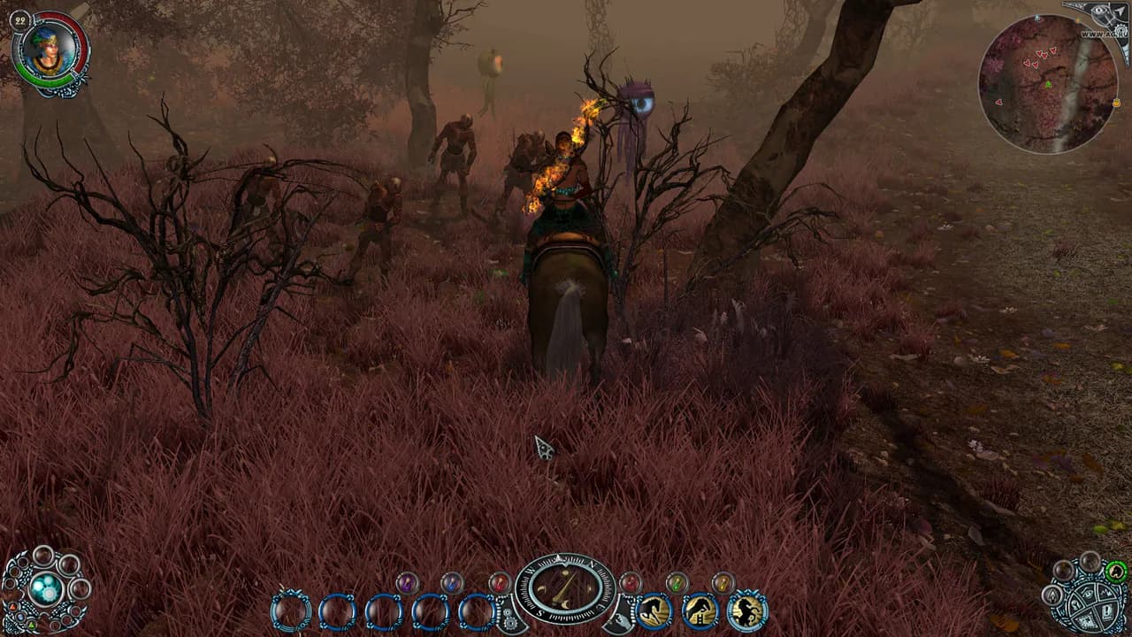 Sacred 2: Ice & Blood