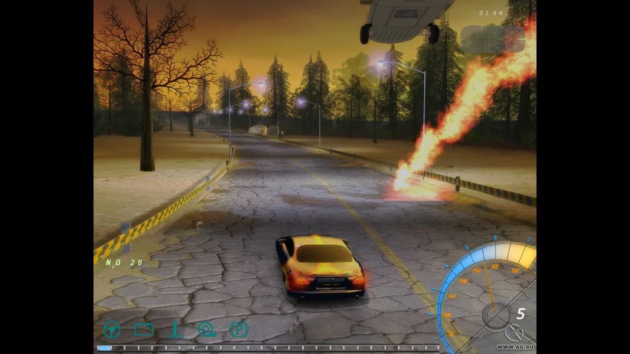 Sunny Race