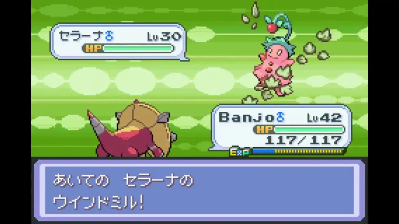 Pokémon Procyon/Deneb