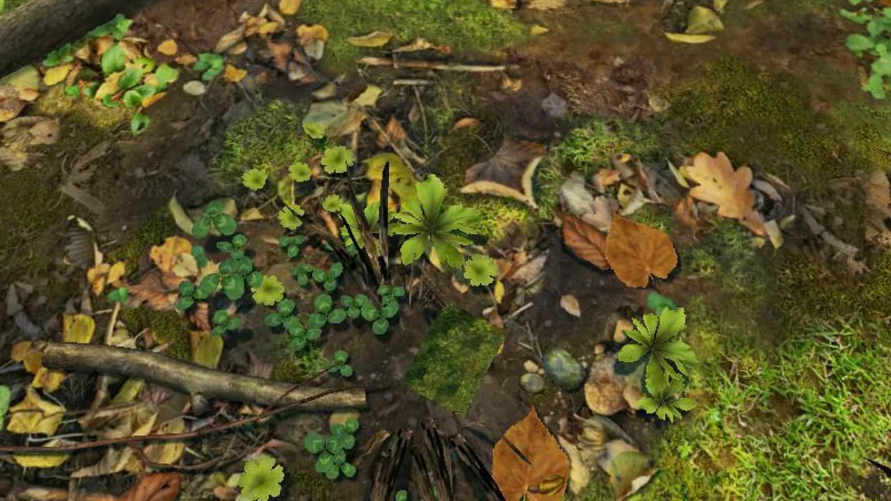 The Burrow (2013)