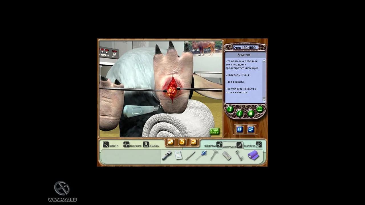 Zoo Vet