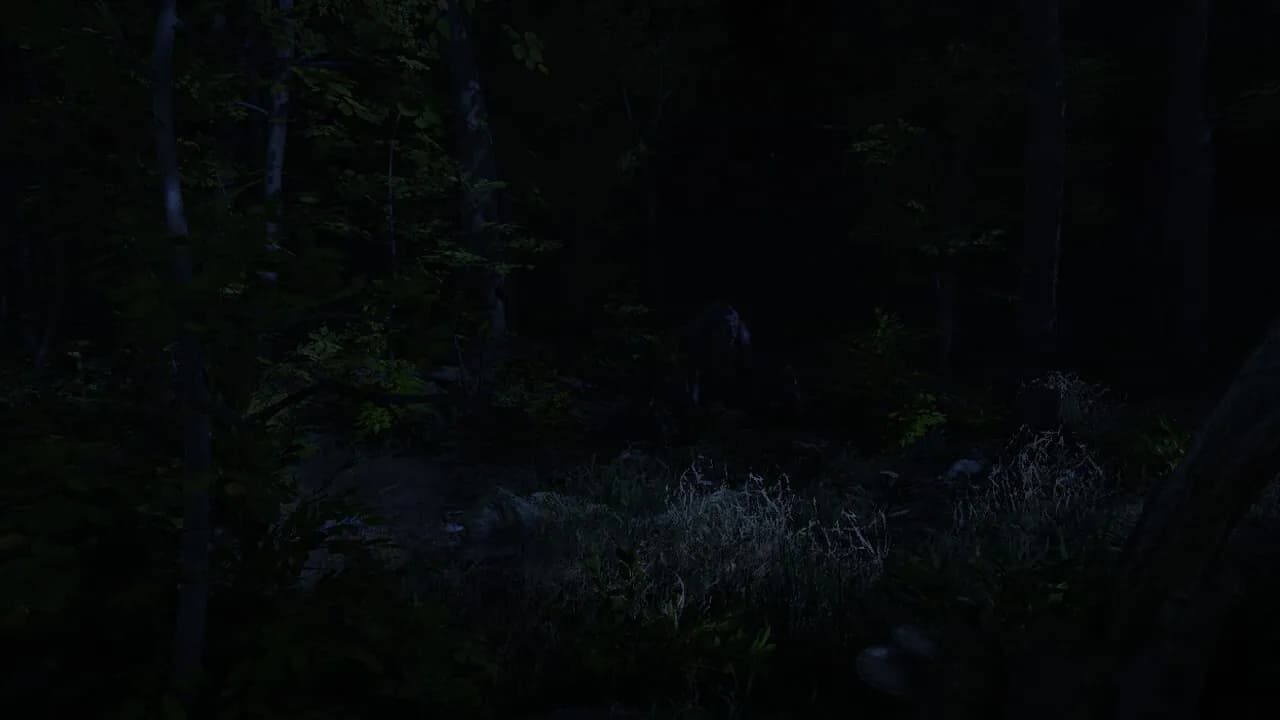 Surrounded