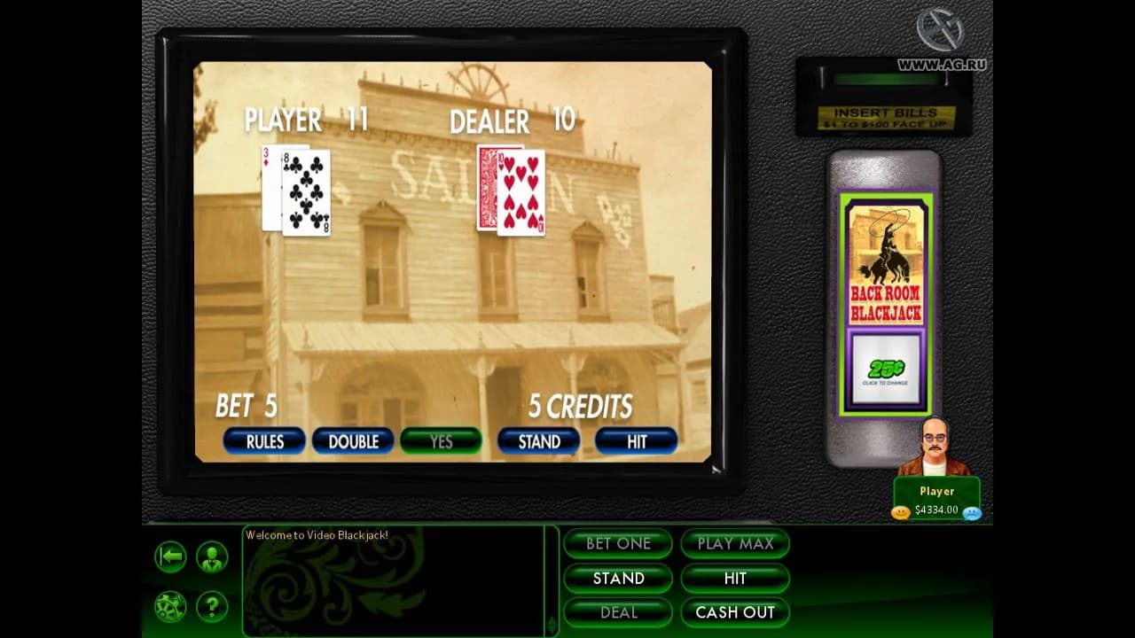 Hoyle Casino Games (2010)