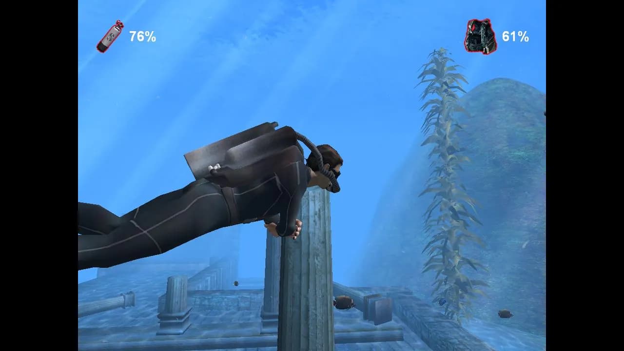 Check Dive