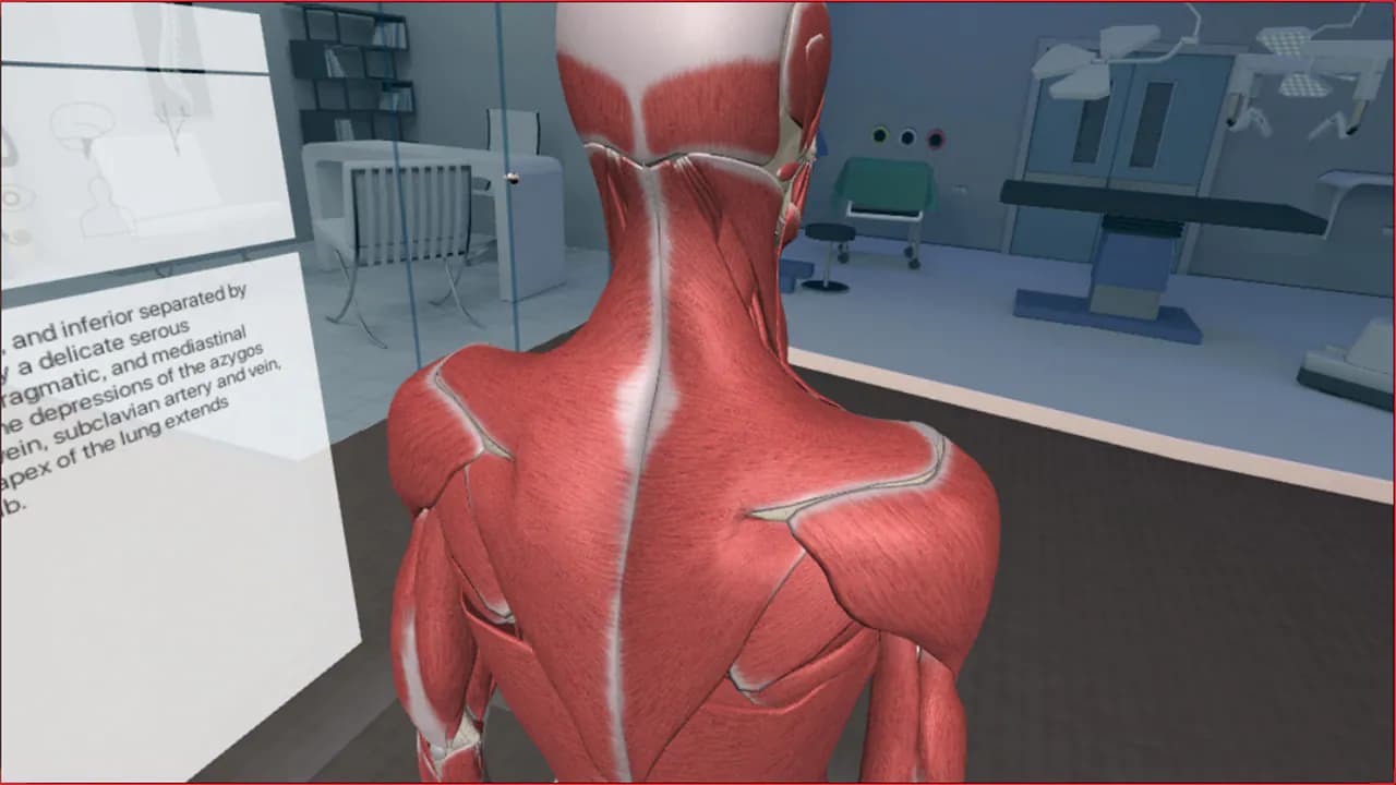 3D Organon VR Anatomy