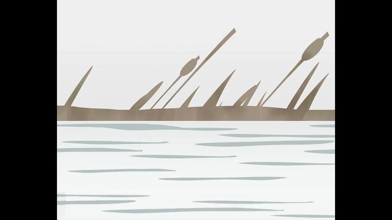 Haiku