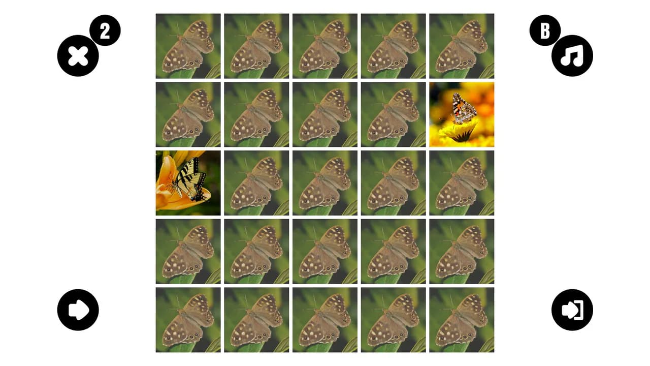 Butterfly couple
