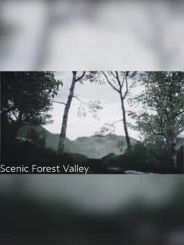 Scenic Forest Valley