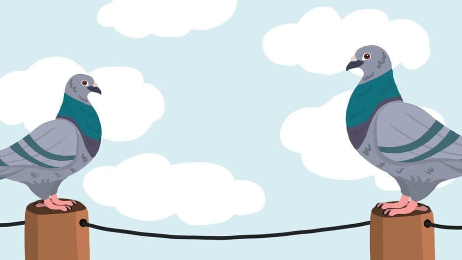 The Pigeon P screenshot 2