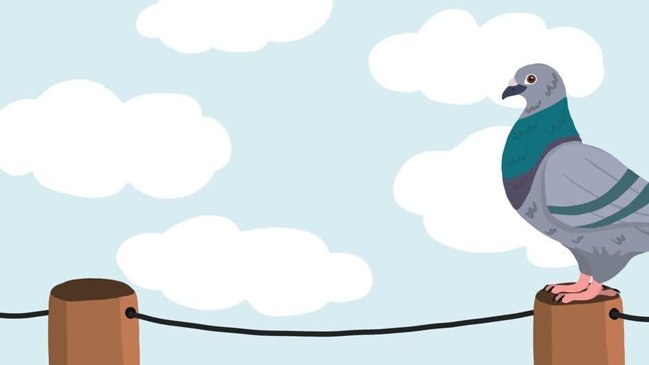 The Pigeon P screenshot 4