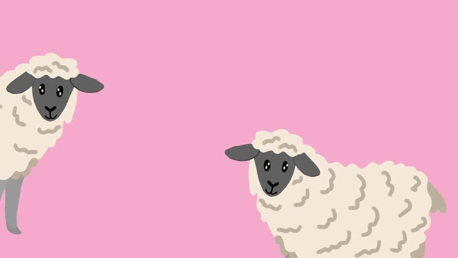 The Sheep Quiz screenshot 5