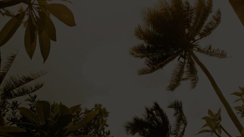 Recondo screenshot 6