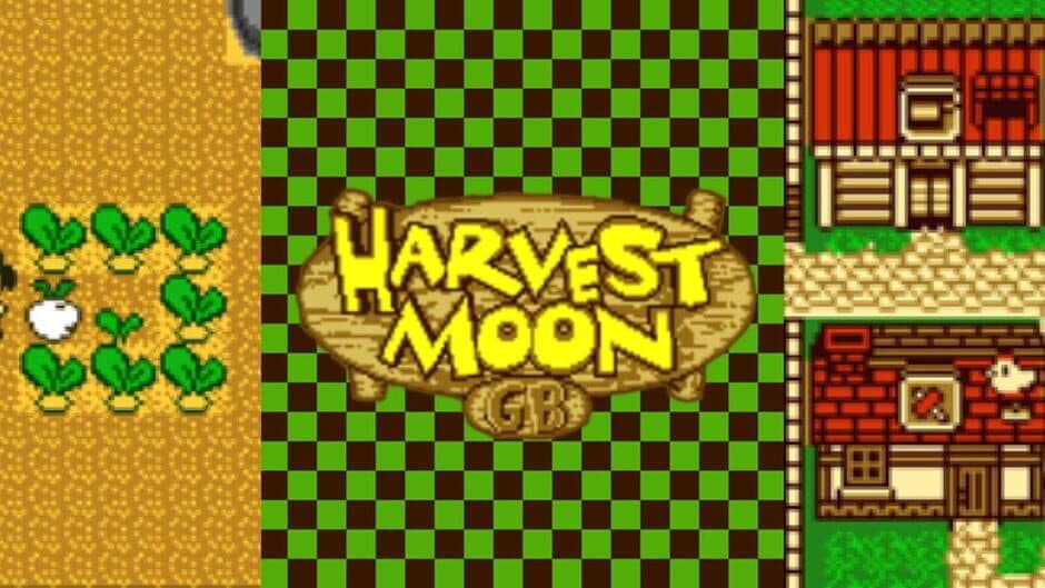 Harvest Moon GBC screenshot 5
