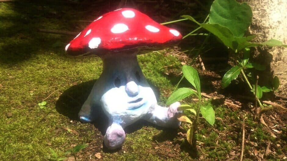 Mushroom Collection screenshot 6