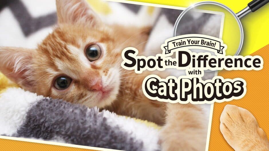 Train Your Brain! Spot the Difference with Cat Photos screenshot 5