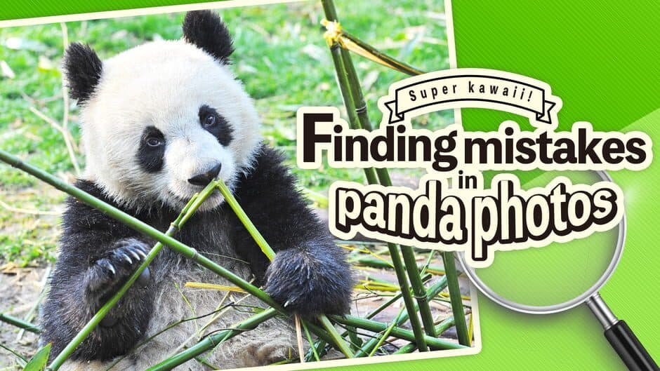 Super Kawaii! Finding Mistakes in Panda Photos screenshot 5