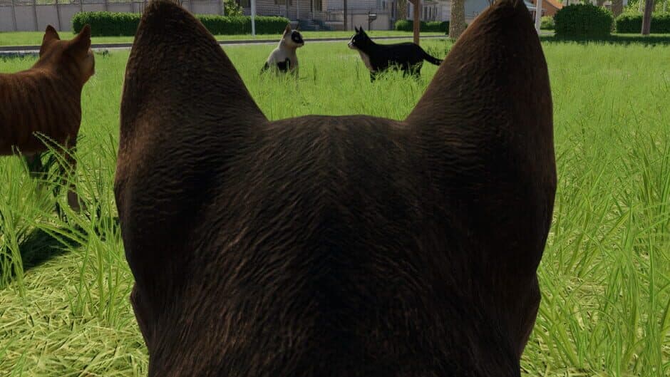 Reign of Cats screenshot 6