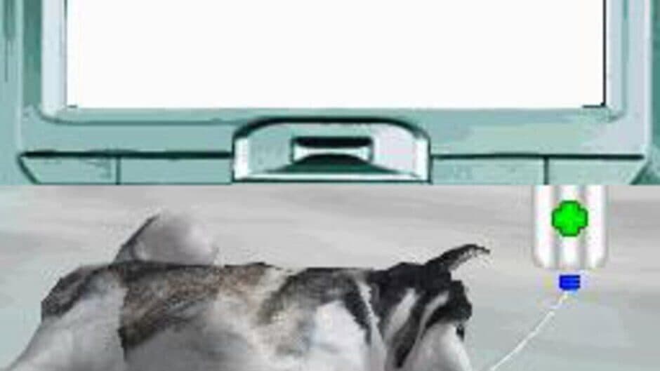 Pet Pals: New Leash on Life screenshot 3