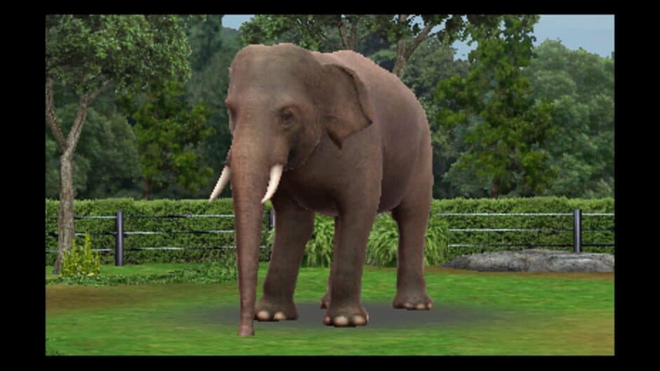 Zoo Resort 3D screenshot 2