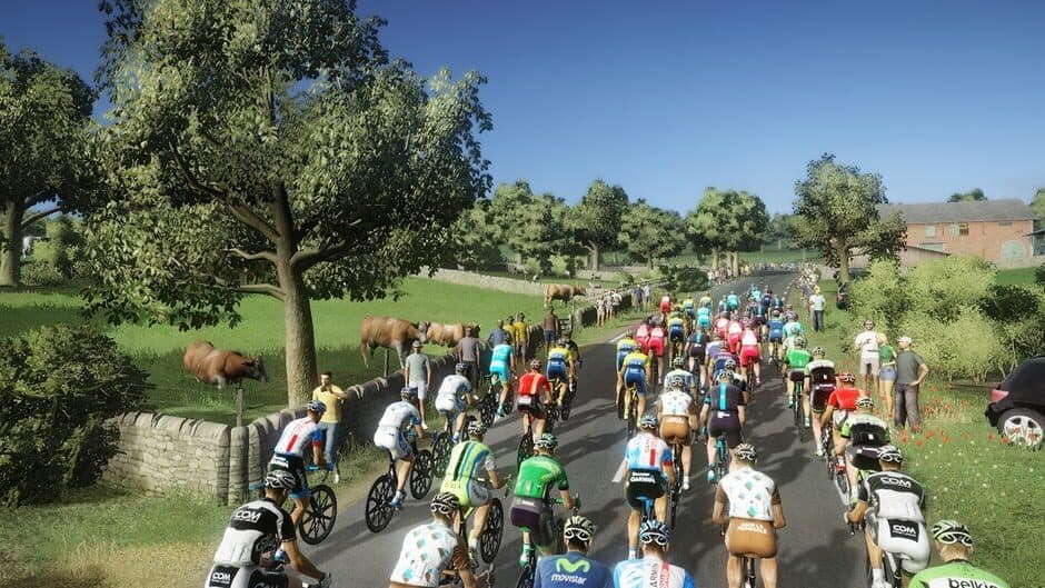 Tour de France 2014 screenshot 6