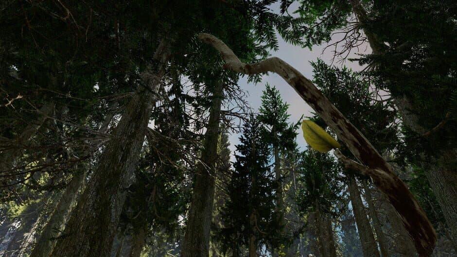 Shinrin-yoku screenshot 5