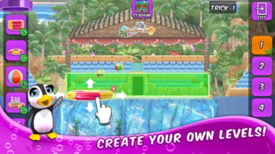 My Dolphin Show