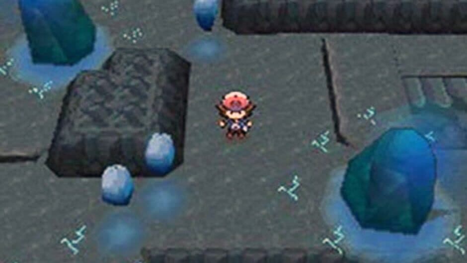 Pokémon Black Version screenshot 3