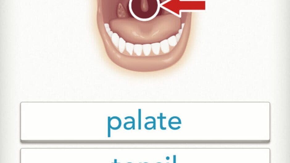 Quizzitive screenshot 4